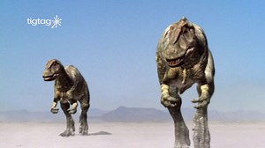 Allosaurus | sofatutor.com