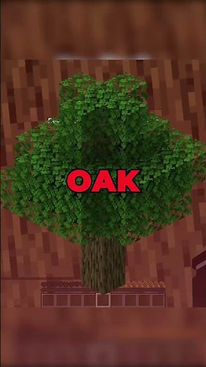 padahal spawnnya gw nemuin kayu birch-