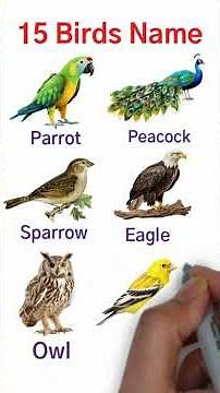 20 Birds Names for Kids | Learn Bird Names in English | Educational Video #Shorts