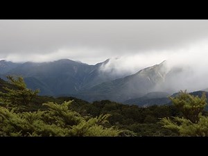 Upper Makaroro Hut - Overnight Hike in Ruahine Forest Park