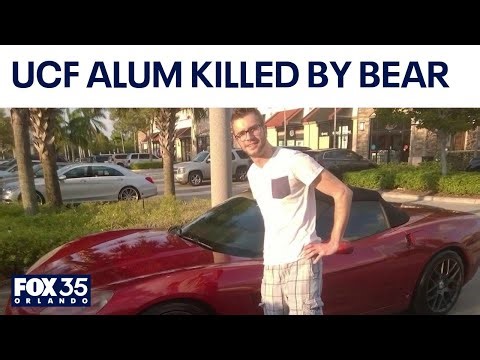 Grizzly bear attack: Florida man killed in Montana