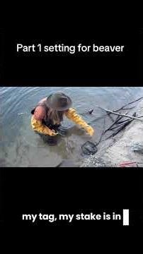 Pet one setting a beaver extreme foot hold. #beavertrapping #beavers #trapping