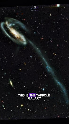 Tadpole Galaxy — A Tail Longer Than the Milky Way