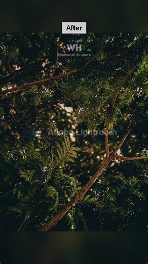 Lightroom Secrets: Elevate Your Samsung Ultra Photos Instantly! #mobilephotography #photoediting