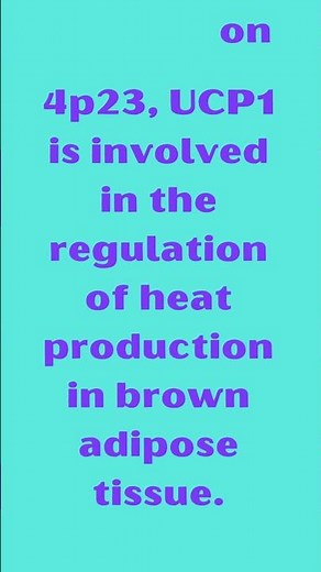 UCP1 Uncoupling Protein 1