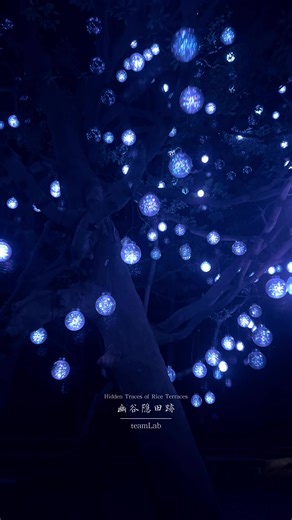 北茨城のチームラボで幻想的な体験を