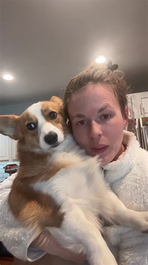 Corgi Adventures: Cute Clips for Dog Lovers