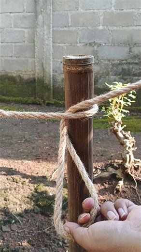 Popular Knot (Simple and Easy) #knot #shorts #diy