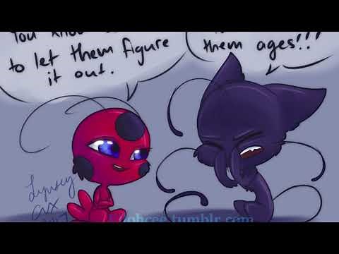 Miraculous Ladybug Tikki and Plagg Shipping [Comic Dub]