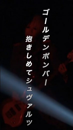 抱きしめてシュヴァルツ（Vocal only）／ゴールデンボンバー ライブ映像／歌詞付きショート動画