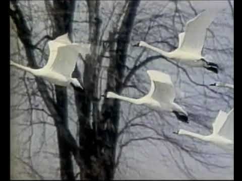 CBC SK Regina - Sign Off - 1990