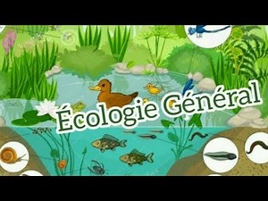 Cycle biogeochimique :cycle de l'azote