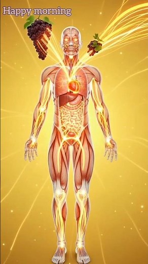 What Grapes Do Inside Your Body | 3D Anatomical Breakdown