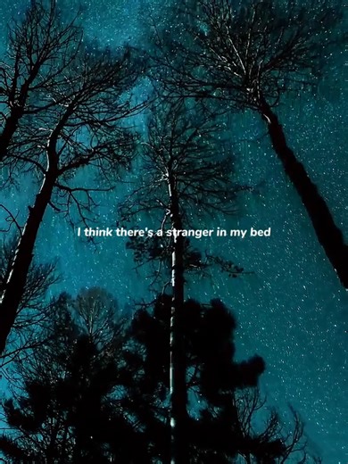 Imposter Song Lyrics Analysis