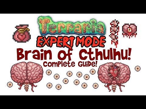 Terraria Brain of Cthulhu Expert Mode Guide! (Fight, How to Spawn, Drops, Brain of Confusion)