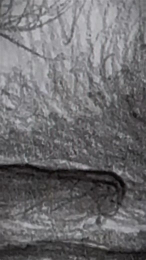 How to Draw a Nose ✍️ #art #drawing #foryou | Jadokar