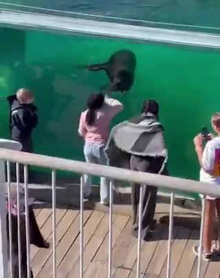 The way this single handedly demonstrates the history of white jealousy, domination and destruction. Observe someone with a gift, decide they want to take it, interfere without consent, and when ignored or not given what they want decide to attempt to steal it from you.