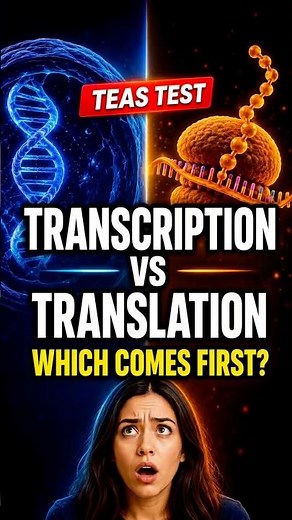 Transcription vs Translation (DNA → Protein) Made EASY for TEAS test takers