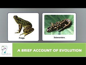 A Brief Account of Evolution Video Lecture | Biology for EmSAT Achieve