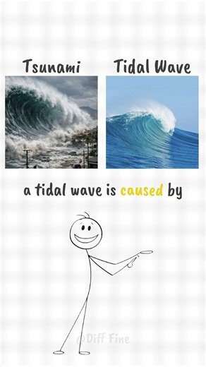 What's the Difference? (Most People Get This Wrong)