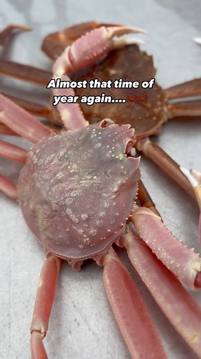 1K views · 22 reactions | Snow crab season! #commercialfishing #crabfishing #crabs #snowcrab #eastcoast #fishingseason | Mackenzie Sapier | Facebook