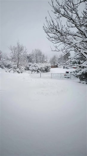 snow friends time @Barbero Tattoo #cerdanya #tatuadores #neu #snow