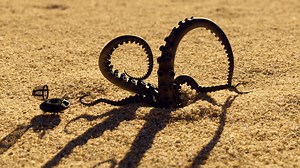 Mysterious Alien-Like Creature Washes Up On Beach Shore