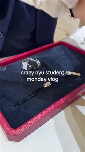 A Day in the Life of an NYU Student: Monday Vlog