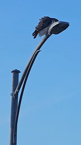 22K views · 1.5K reactions | So I often run out of my house in my...