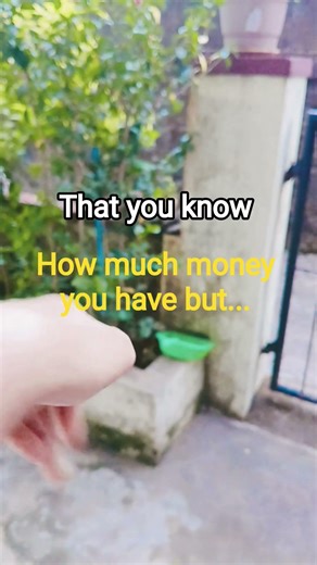 Is that true? The difference between time and money is...