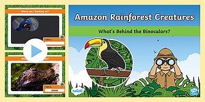 Amazon Rainforest Creatures 'What's Behind The Binoculars?' PowerPoint