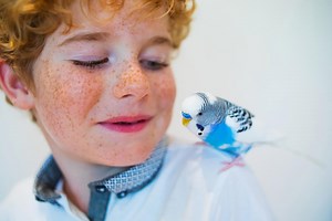 Low-maintenance pets your kids will love