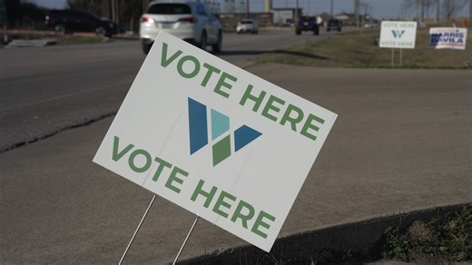 Williamson County returning to countywide voting after confusion in March primary