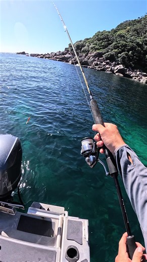 Fishing for Snapper in New Zealand: Tips and Tricks