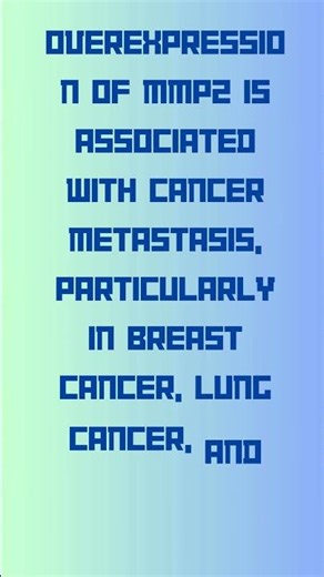 MMP2 Matrix Metalloproteinase 2