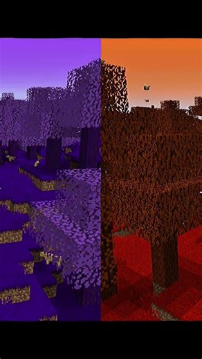 codeman evrelerine edit@BoraLo #keşfet #minecraft #boralo #memes #boraloedit #aboneol #trend