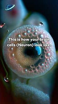 Brain Cells(Neurones) in microscope #brain #learnew #science #microscope #neurons