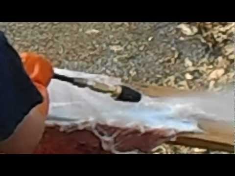 Power washing Deer Hide