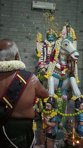 Special puja held at Karuppaswamy Temple in Puliyarai