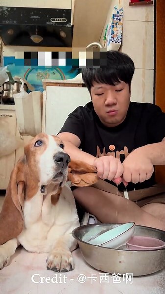 Everyone Wanted to Throw This Dog Out💔