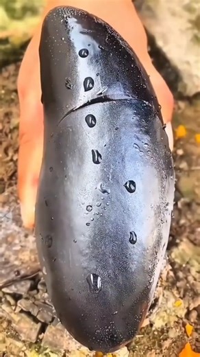 Cucumber Carving Art 🥒 🍍🍑🍇🍅🍅🍠🍒 #Fruit #satisfying #farming #shortis