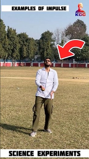 examples of impulse | physics experiments #physics #experiment #shorts #cricket