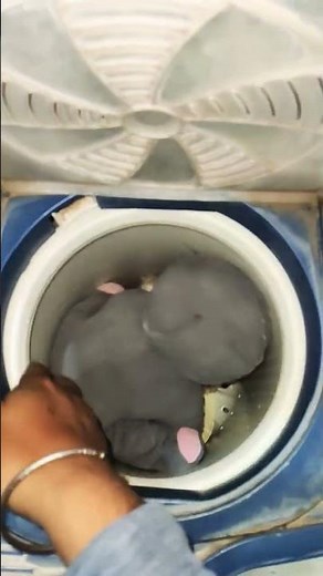 washing machine running video #wash #washing #kipasangin #washingmachine