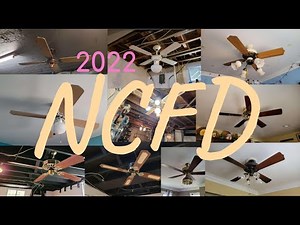 National Ceiling Fan Day Special | Ceiling Fans Installed in my House - Update #NCFD