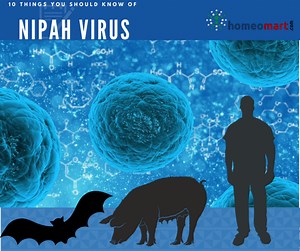 10 facts about Nipah virus and 7 homeopathy medicines for treatment - Homeomart Blog
