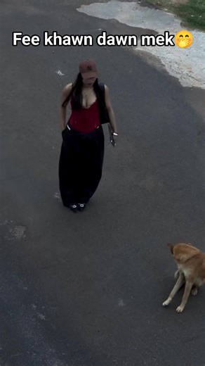 17K views · 755 reactions | U-zoi YMA fee khawn tur anih hi te ti vel ila浪 #mizogallery | 퐙퐨퐥퐚퐧퐮 퐆퐚퐥퐥퐞퐫퐲 | Facebook