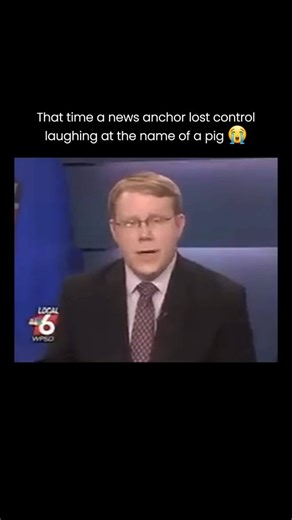 Timeless ★ on Instagram: "FOLLOW @timelessbruh FOR MORE 🌟 During a live news broadcast, a reporter was tasked with covering an uplifting story about a piglet named Chris P. Bacon — a disabled pig born without the use of his hind legs, who was given a chance to walk again through a tiny custom wheelchair. What was meant to be a heartwarming segment quickly turned into one of television’s most unintentionally hilarious moments. The anchor, while reading the name ‘Chris P. Bacon,’ suddenly realize