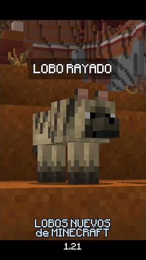 Minecraft todos los Lobos nuevos | #minecraft #mojang