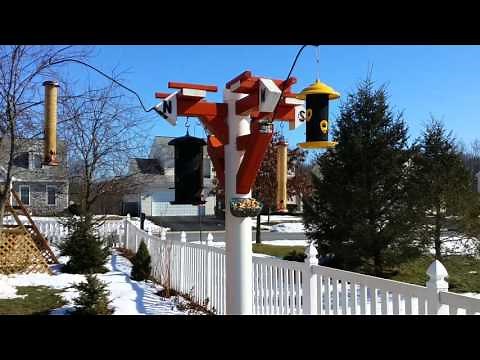 HOME MADE PVC bird feeder pole