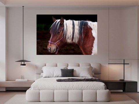 Mustang Appaloosa Portrait Fine Art Photography Print - Etsy